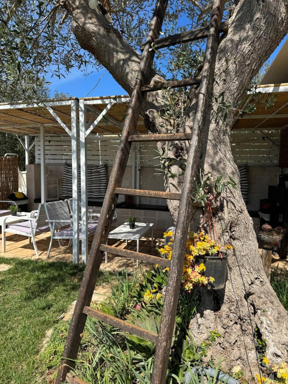 Dimora Ducabianco Bed and Breakfast Monopoli Exterior foto